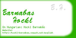 barnabas hockl business card